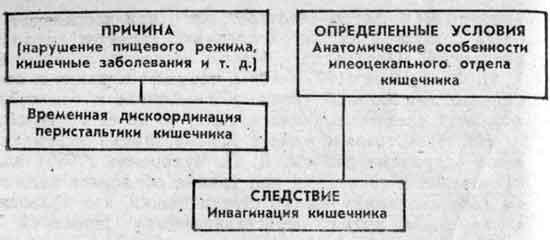 Схема, объясняющая возникновение инвагинации кишок у грудных детей